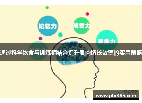 通过科学饮食与训练相结合提升肌肉增长效率的实用策略