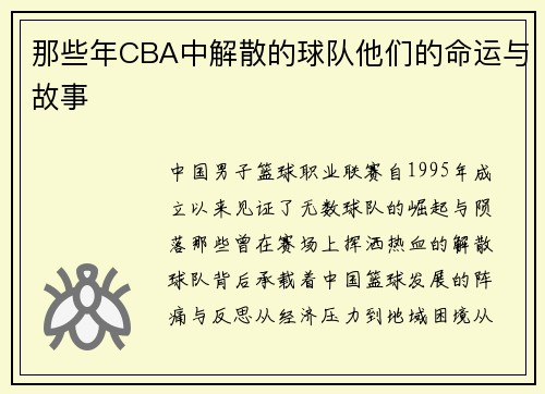 那些年CBA中解散的球队他们的命运与故事